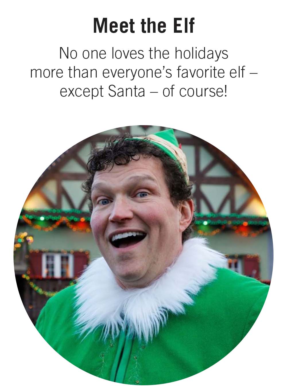 Meet the Elf No one loves the holidays more than everyone’s favorite elf – except Santa – of course!