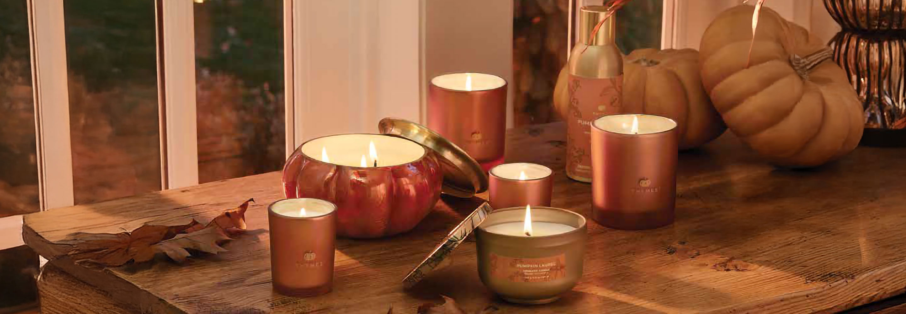 Pumpkin Laurel Collection